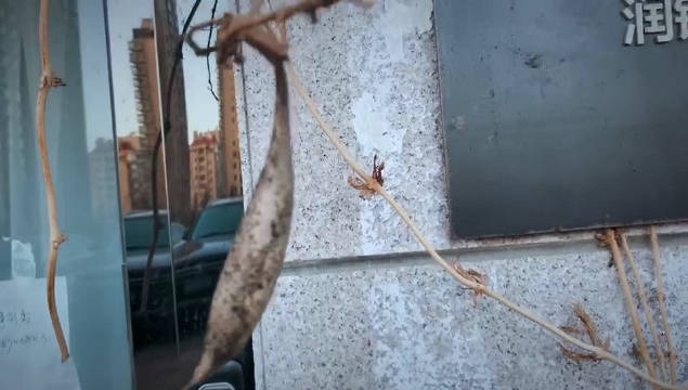 kycom:2014年全能五星竞赛最新信息 2014上海小升初(图1) kycom:2014年全能五星竞赛最新信息 2014上海小升初(图1)