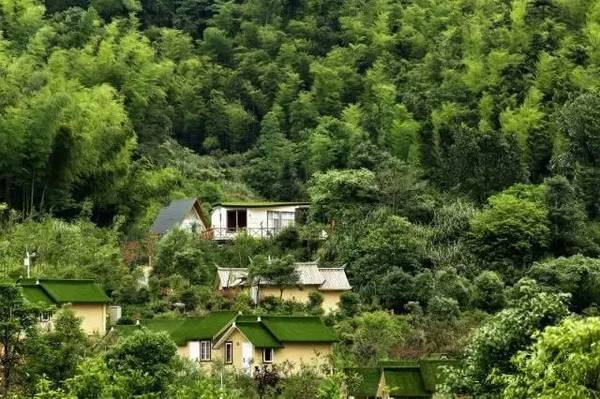 kycom:2014年全能五星竞赛最新信息 2014上海小升初(图2) kycom:2014年全能五星竞赛最新信息 2014上海小升初(图2)