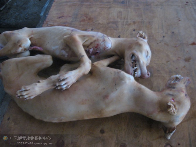 2014天津小升初小卷考试常见问题解答【ky.com】(图4)