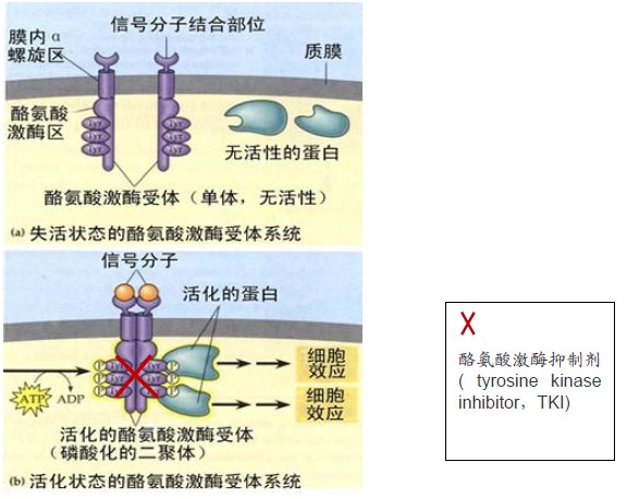 西峡县丹水镇英湾小学多措并举预防冬季流感：ky.com(图3)