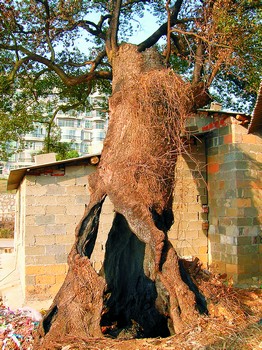 ky.com|西峡县西坪二中：温馨告知书加强家校联系沟通(图2)