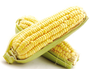 ‘kycom’方城县柳河镇马沟小学：科学防疫，马沟小学在行动(图1)