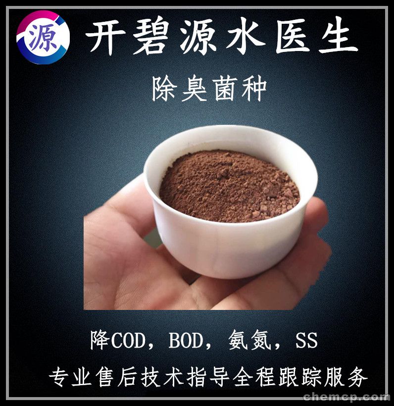 【ky.com】2014重庆一外英语A班B班教学介绍 2014重庆小升初(图3)