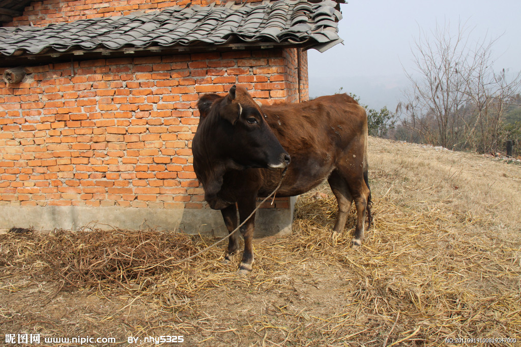 2014年辽宁省实验中学北校小升初招生简章|ky.com(图1)