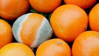 ‘kycom’宝丰县闹店镇户口小学：学习雷锋精神，致敬民族英雄(图1)