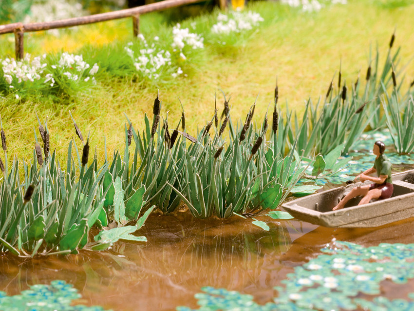 ky.com-镇平县雪枫中学举办2019年秋期古诗文诵读大赛(图3) ky.com-镇平县雪枫中学举办2019年秋期古诗文诵读大赛(图3)